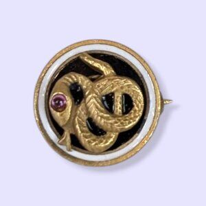 V. Sigma Nu Fraternity Pledge Pin
